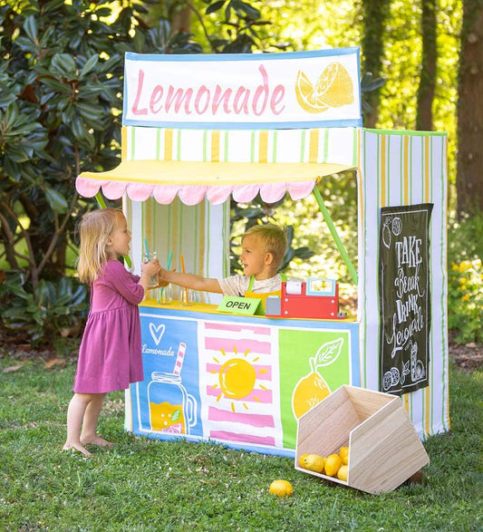 Kids Lemonade Stand Playhouse