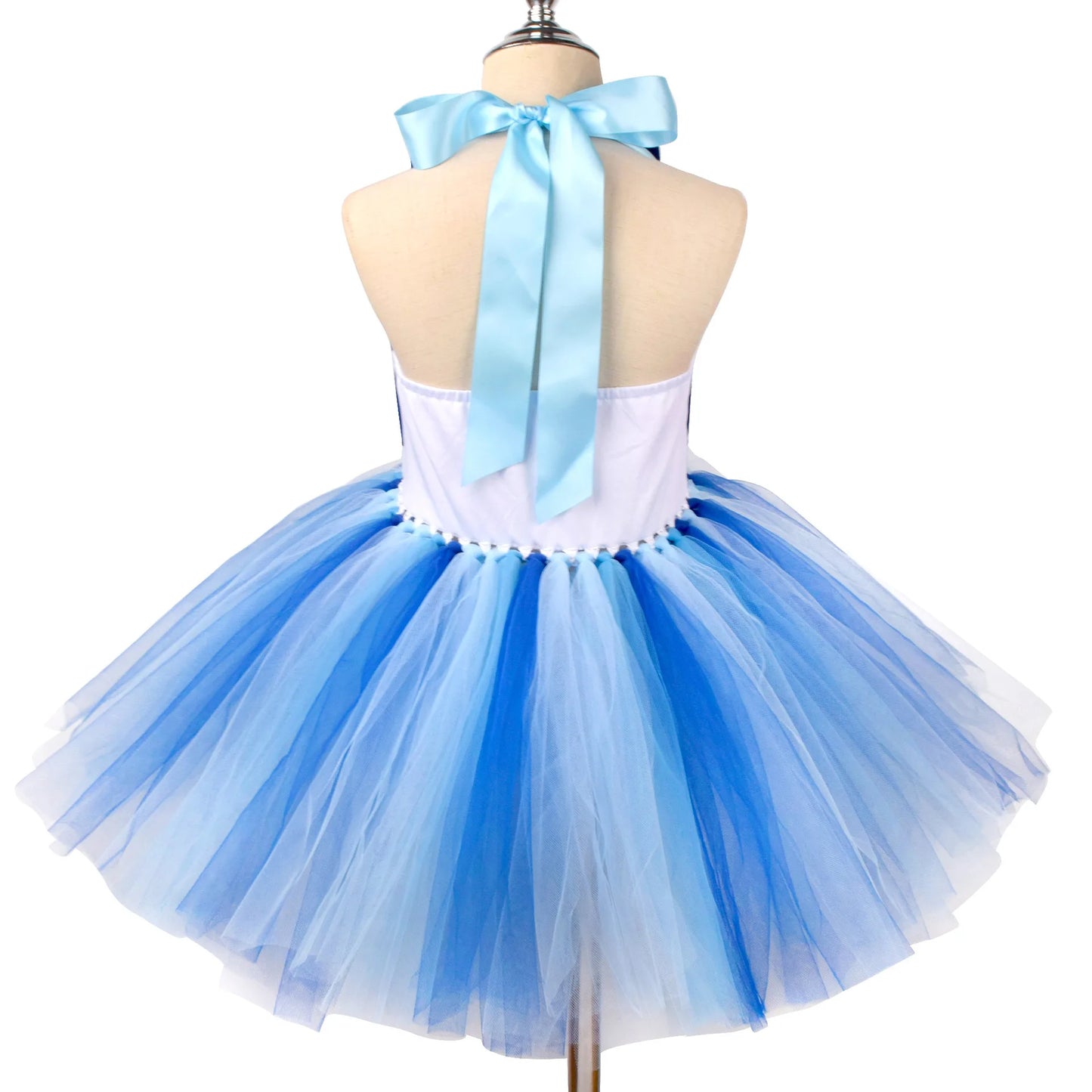 Bluey Mesh Princess Dress